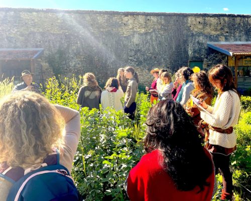 Cours de botanique avec René Becker, au château de Brantes à Sorgues. Année I, 2019/2020